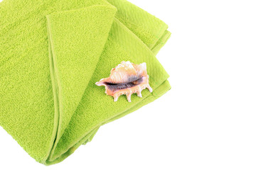 isolate, light green towel, shell