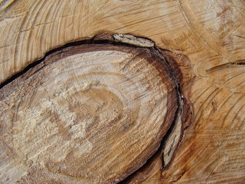 Holz Textur Astloch Nahaufnahme
