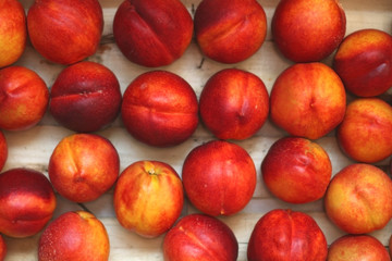 Pie of nectarines, top view.