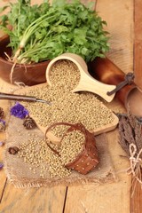 Dry coriander seeds and fresh coriander green.