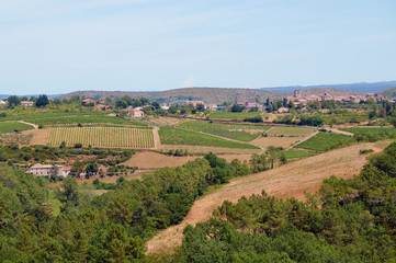 Fototapeta na wymiar Small town in the hills of vineyards in France.