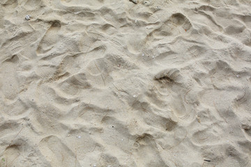Lines in the sand of a beach