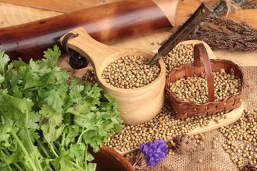 Dry coriander seeds and fresh coriander green.