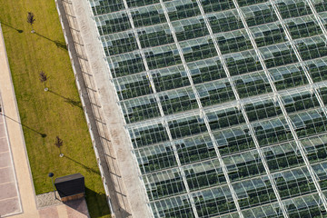 aerial view of greenhouses