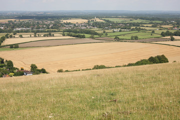 Obraz premium Sussex Landscape, England