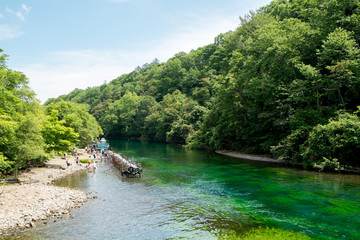 夏の川岸の風景