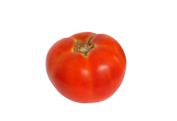 Tomato on white background