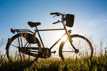 Fototapeta premium Bicycle silhouette