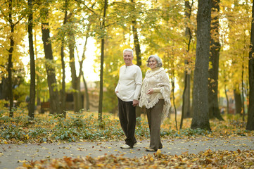 Fototapeta premium Senior couple in autumn park