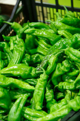 Group of green peppers