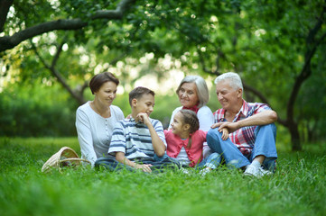 Fototapeta premium Family resting in summer park