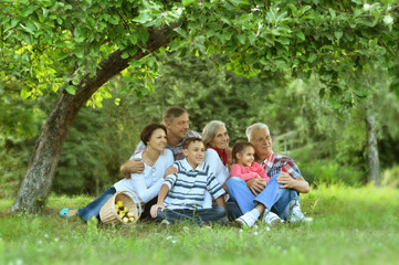 Family resting in  summer park