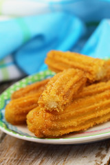 Spanish churros on plate
