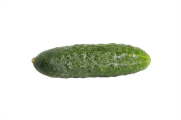 Cucumber on white background