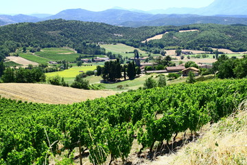 Naklejka premium vignobles en montagne dans la drome,en rhône-alpes