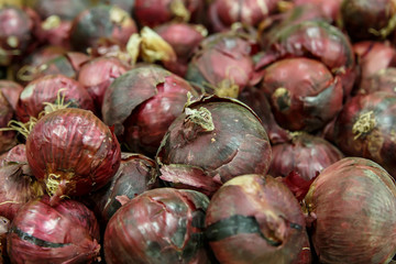 Fresh red onions