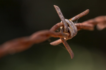 Close up old wire barbed node  - Macro old wire barbed