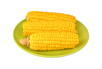 Cob of corn on green plate, isolated on white background