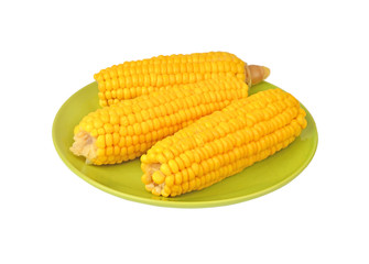 Cob of corn on green plate, isolated on white background
