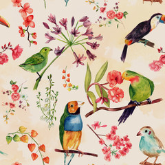 Une aquarelle transparente de dessins d& 39 oiseaux et de fleurs exotiques