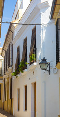 Typical whitewashed houses along the streets of the city of Cordoba © james633