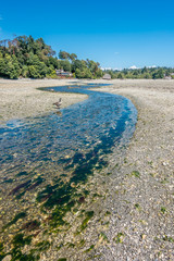Normandy Park Stream 5