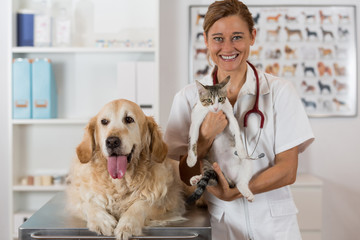 Veterinary clinic - 88758631