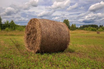 Hay Bale