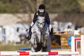 Horse rider equestrian show jumping action  - obrazy, fototapety, plakaty