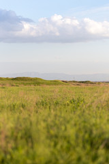 Spring in the steppes of Kazakhstan