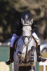 Horse rider equestrian show jumping action 