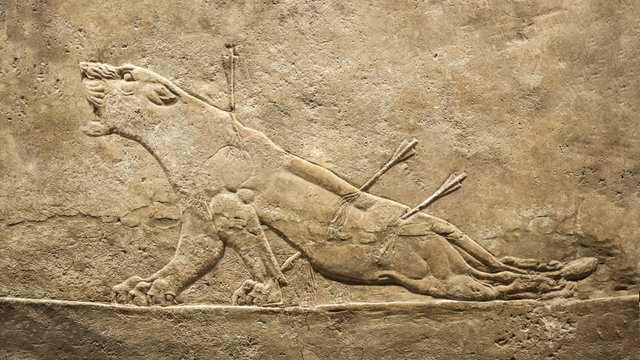 Dyeing lion. Hunting relief from Palace of Assurbanipal in Nineveh, Assyria