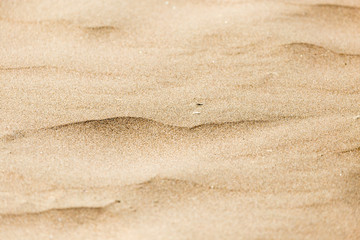 Fototapeta na wymiar sand as a background