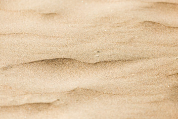sand as a background