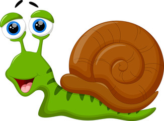 Cute snail cartoon - obrazy, fototapety, plakaty