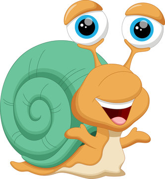 Cute baby snail cartoon