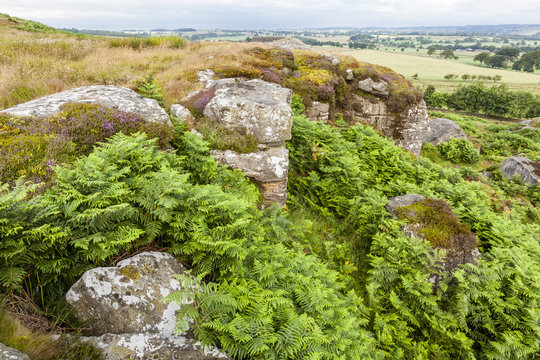 View of Shaftoe Craggs, Northumberland. England,UK.
