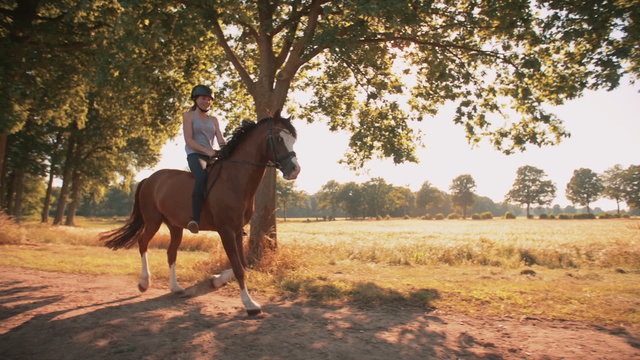 Girl riding a beautiful horse on path alongside a field