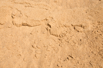 Bausand