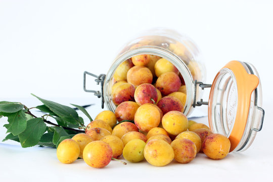 bocal de mirabelles