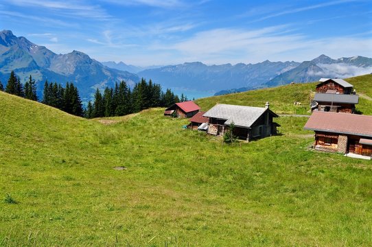 K&auml;serstatt, M&auml;gisalp im Berner Oberland