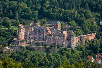 Fototapeta na wymiar Schloss Ruine Heidelberg