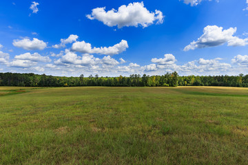 field sun day with clouds