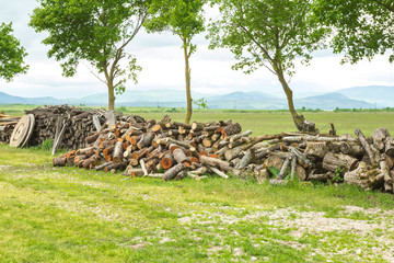 Fototapeta premium A pile of logs on the ground of Croatian farm