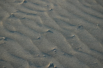 Ripples in the sand 