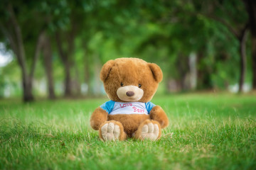 Teddy bears  on a meadow in the woods soft focus Classic tone