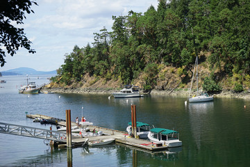 Fototapeta na wymiar Lake with island and recreational boats