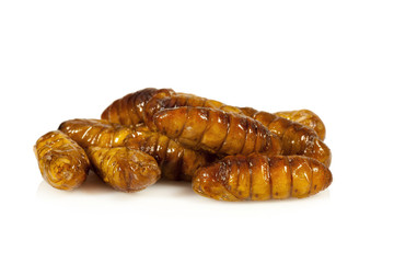 Silkworm pupae fries on white background