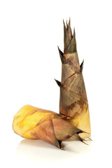 Bamboo shoots on white background