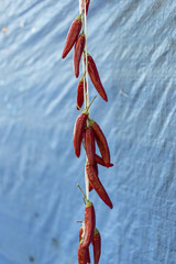 dried paprika from Hungary